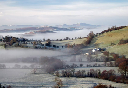 Radnor Mist 2001
