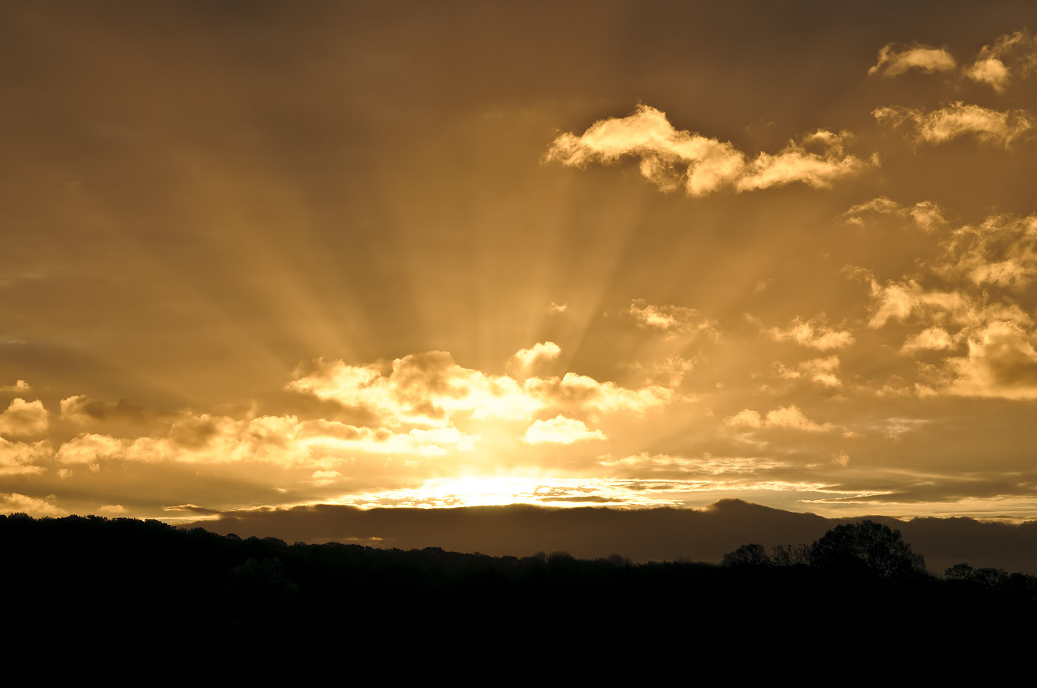 sunrise uk